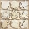 Pack Unfinished Wooden Ocean Sea Animals Cutouts for DIY Crafts 3.5 Inch 5 Peices Each